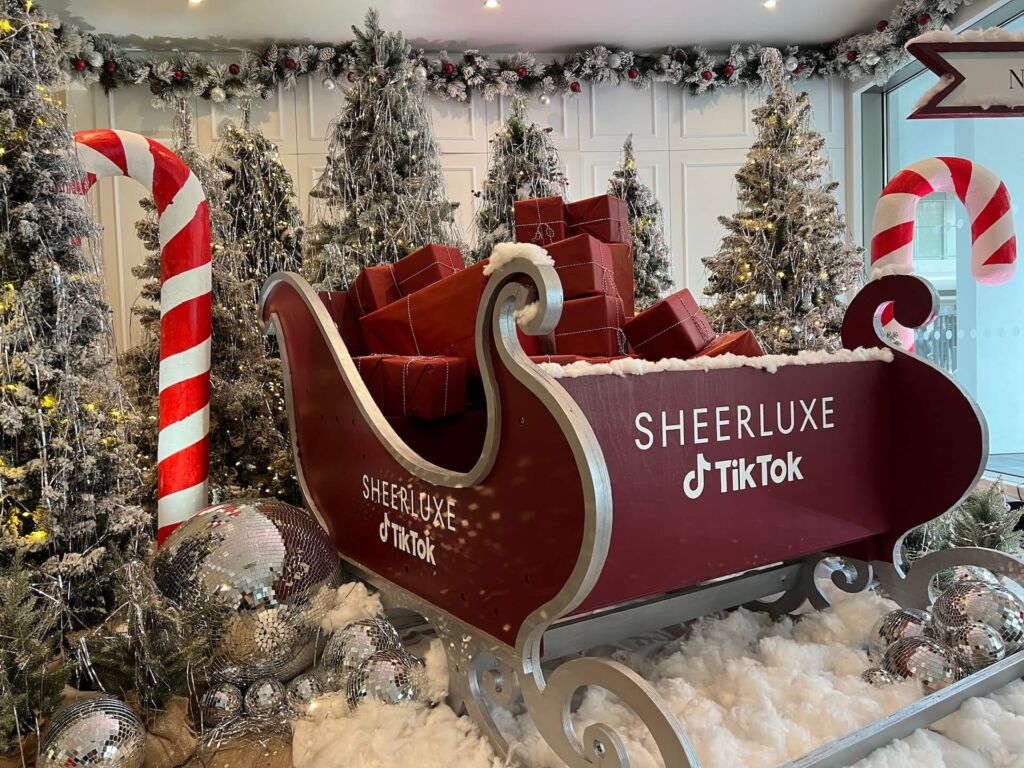 sit in sleigh photo opportunity