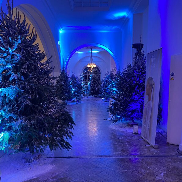 Winter Wonderland Corporate Party