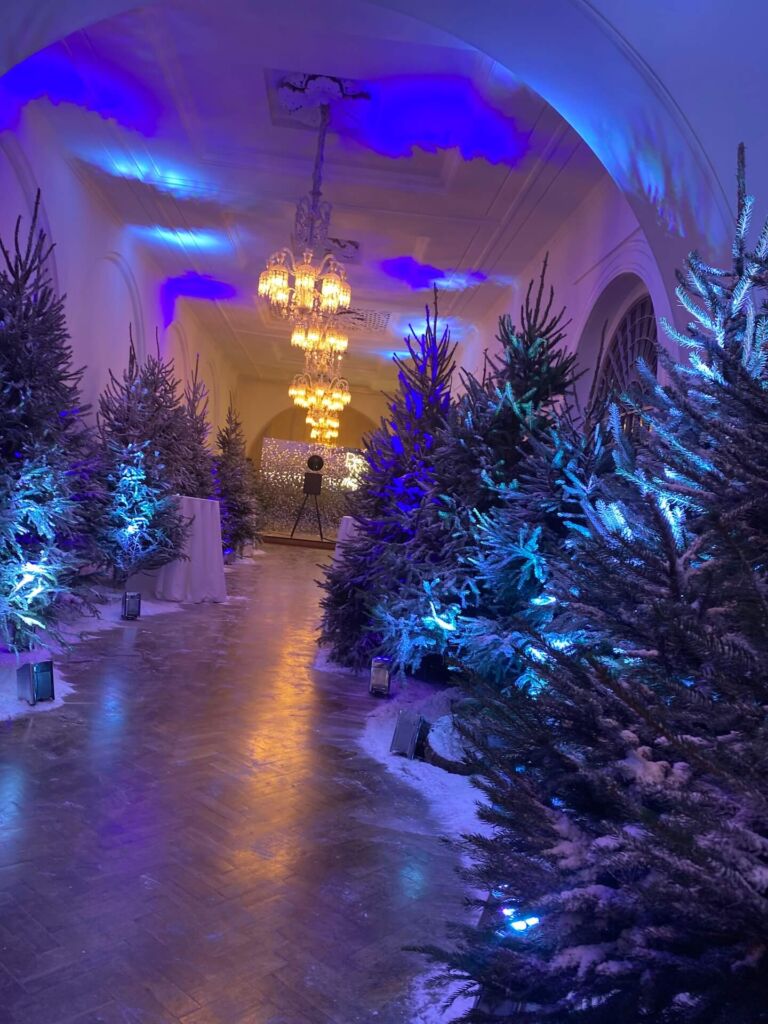 winter wonderland snow floked trees